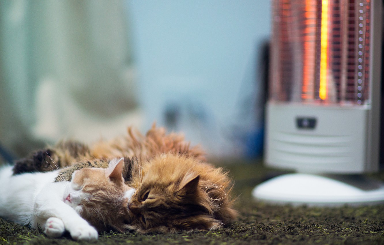 The best heaters for home and apartment
