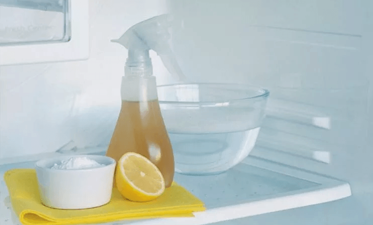 Refrigerator cleaners