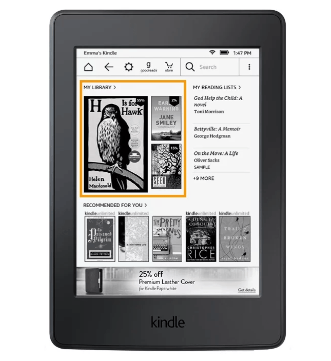 Amazon's top Kindle 8 book