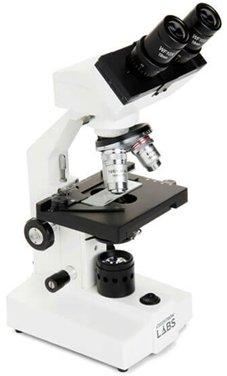 Best light microscope in 2020