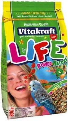 Best food for parrots in 2020