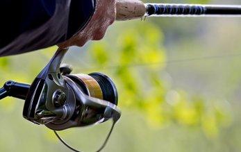 How to choose a reel for a feeder