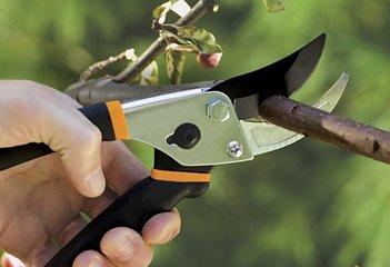 How to choose a garden pruner