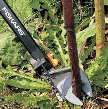 How to choose a garden pruner