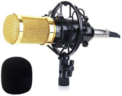 How to choose a microphone for voice recording