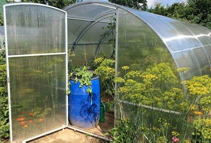 Which greenhouse to choose
