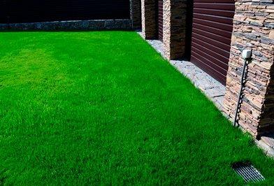 How to choose lawn grass