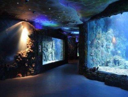 Best Moscow Oceanarium in 2020