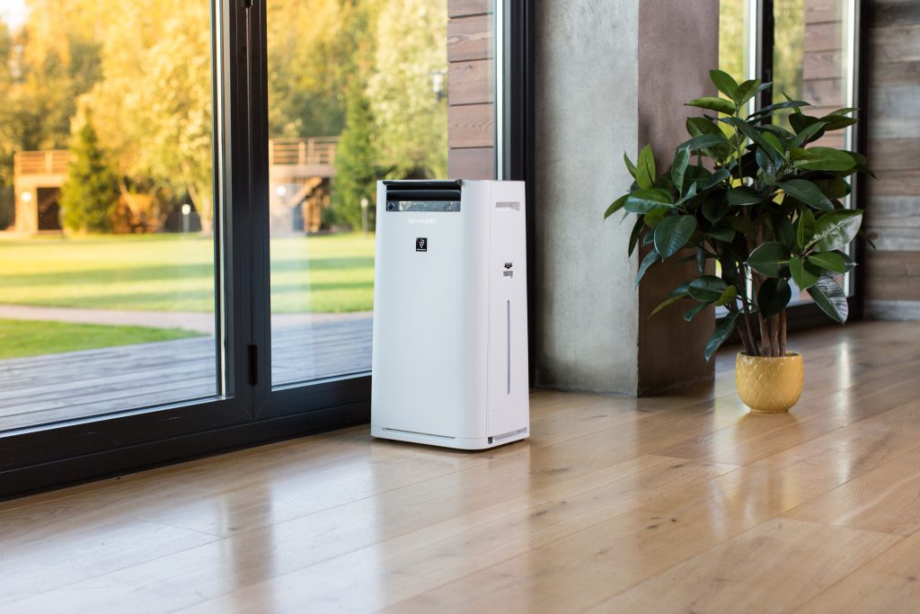 The best air purifiers for an apartment or house